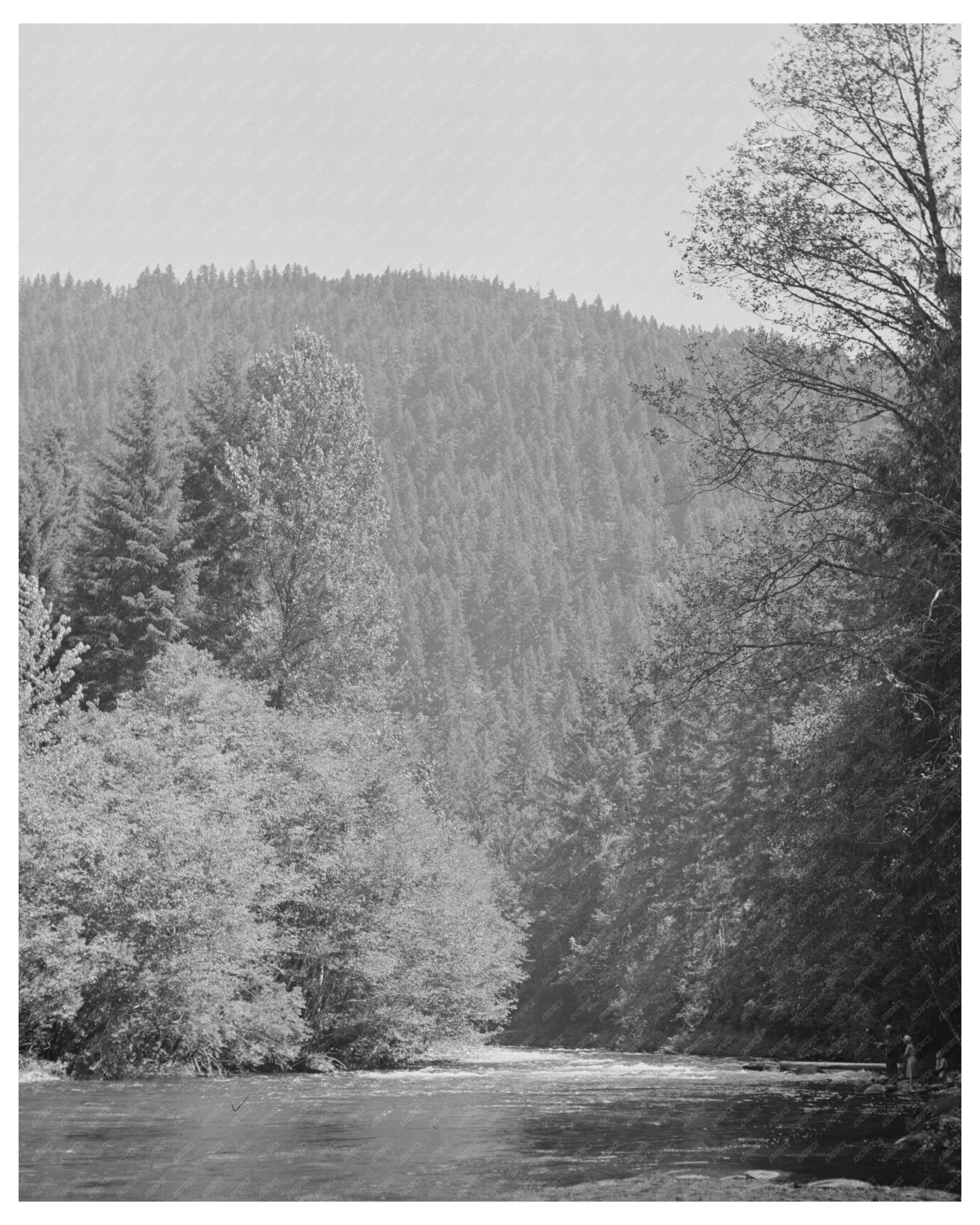 Vintage 1942 Photograph of Belknap Springs Oregon Landscape