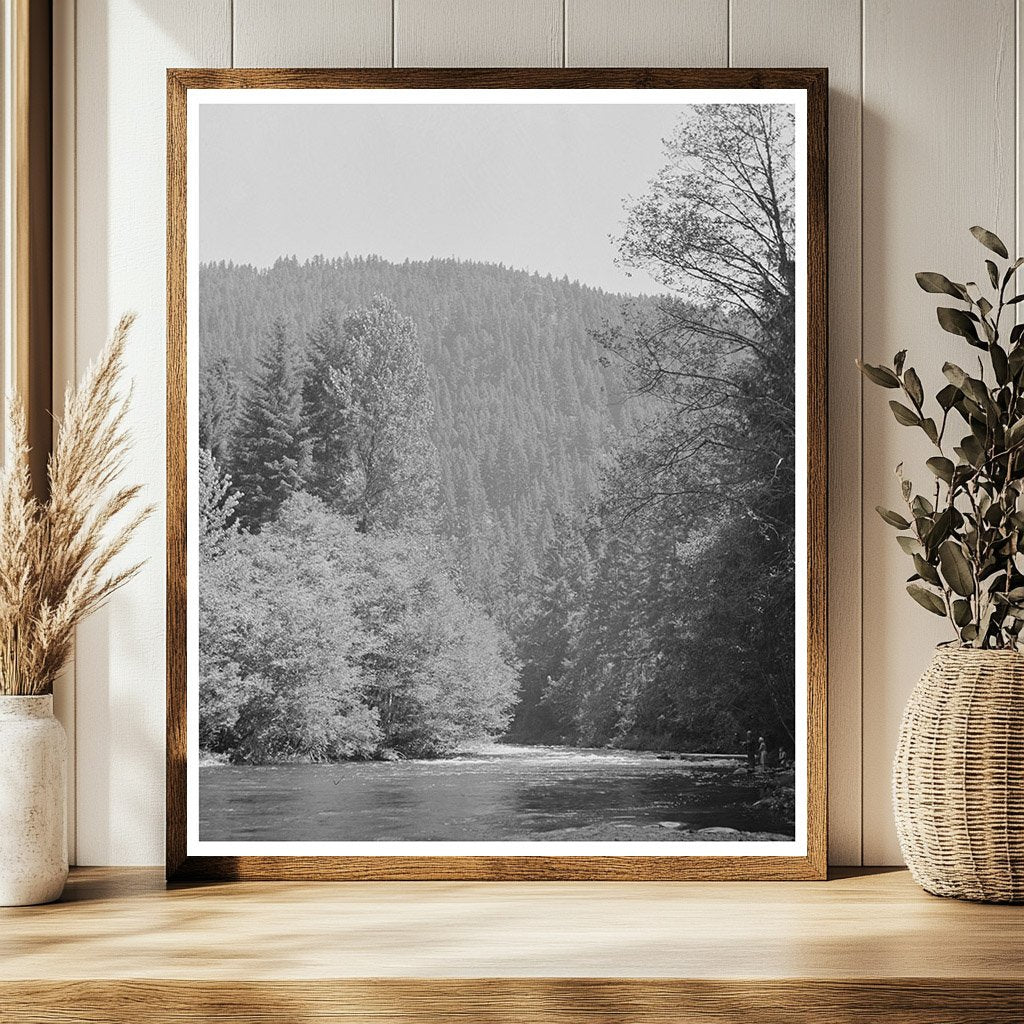 Vintage 1942 Photograph of Belknap Springs Oregon Landscape