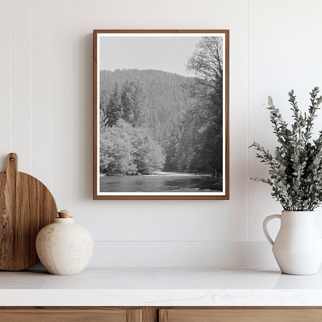 Vintage 1942 Photograph of Belknap Springs Oregon Landscape