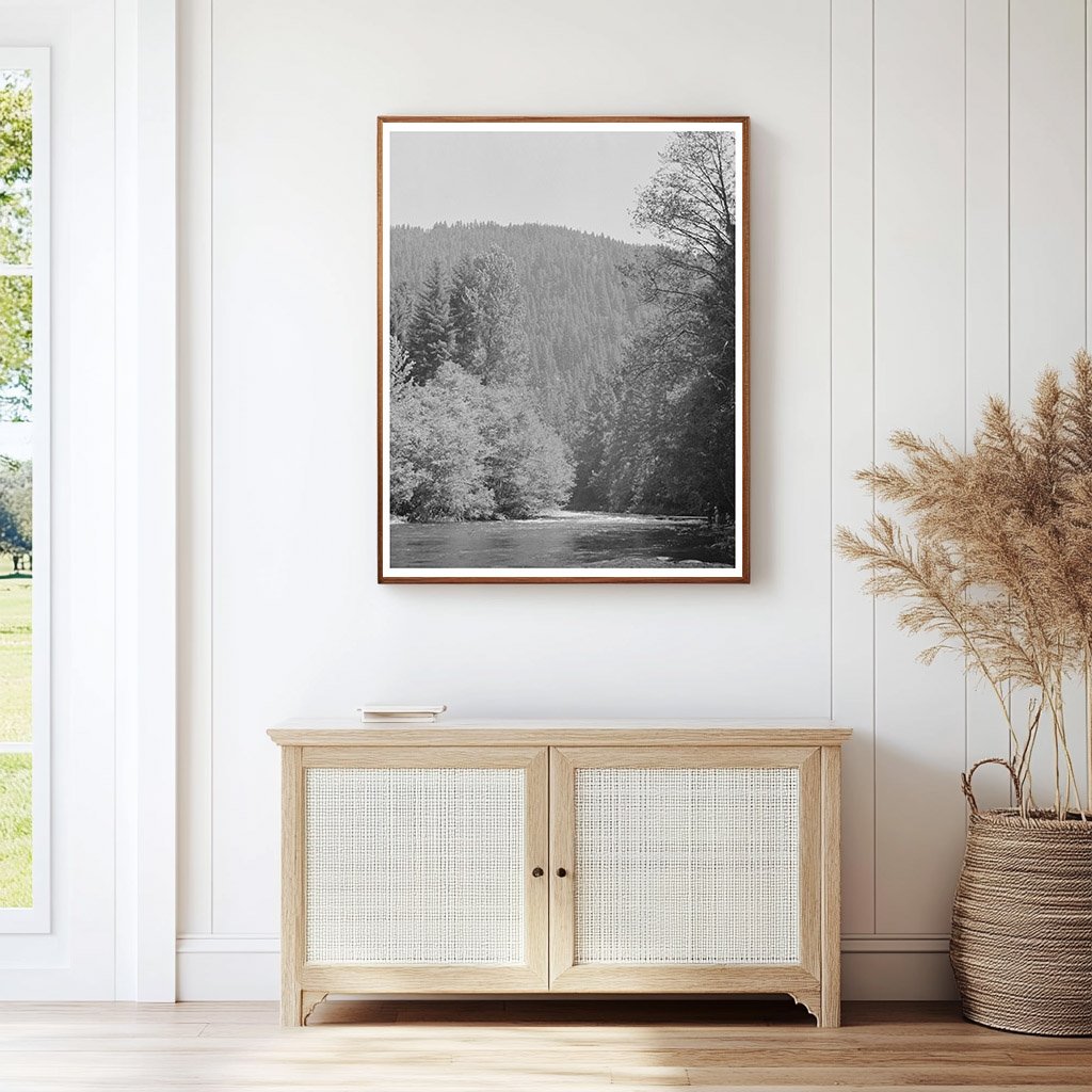 Vintage 1942 Photograph of Belknap Springs Oregon Landscape