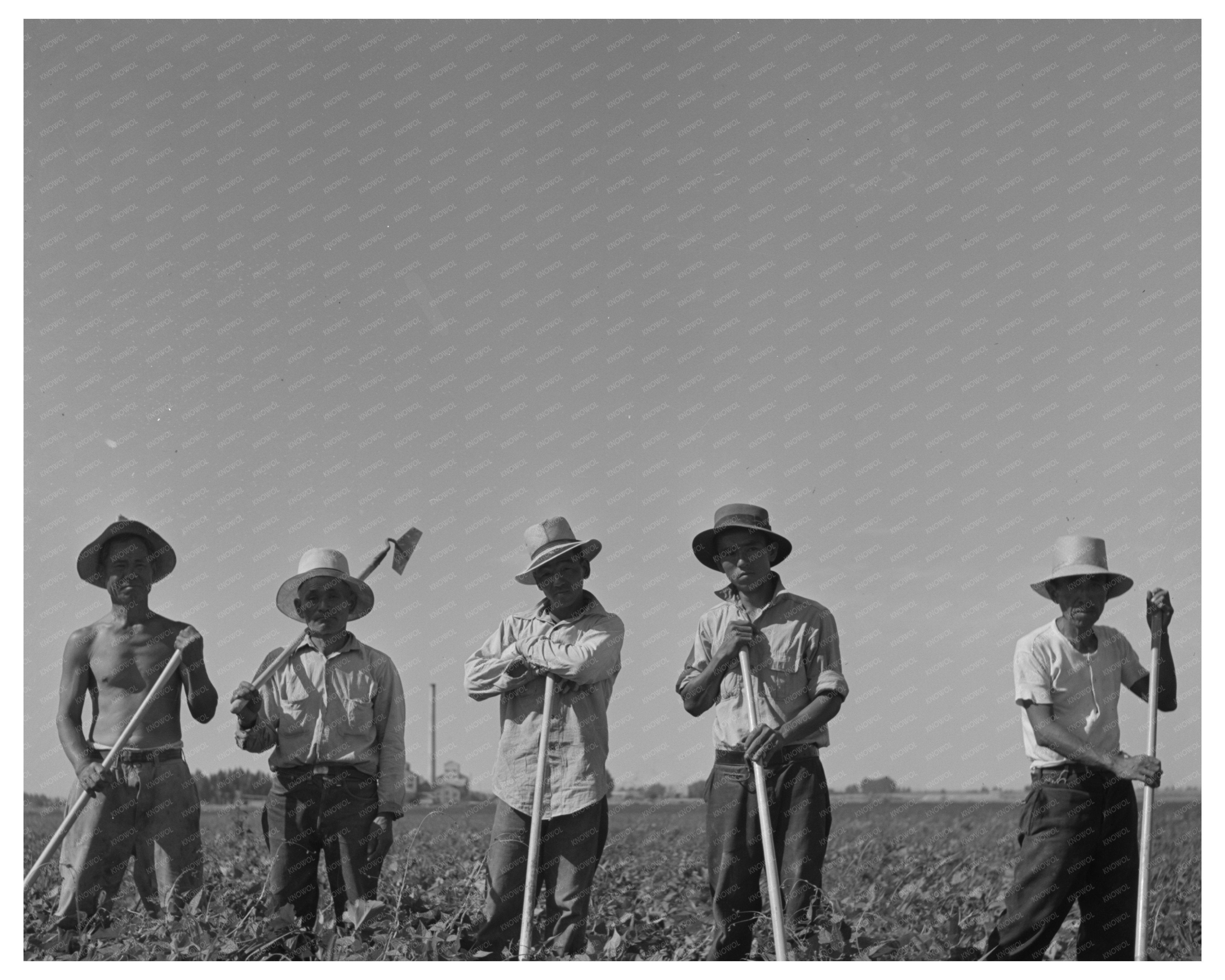 Japanese Farm Workers at Idaho Camp July 1942