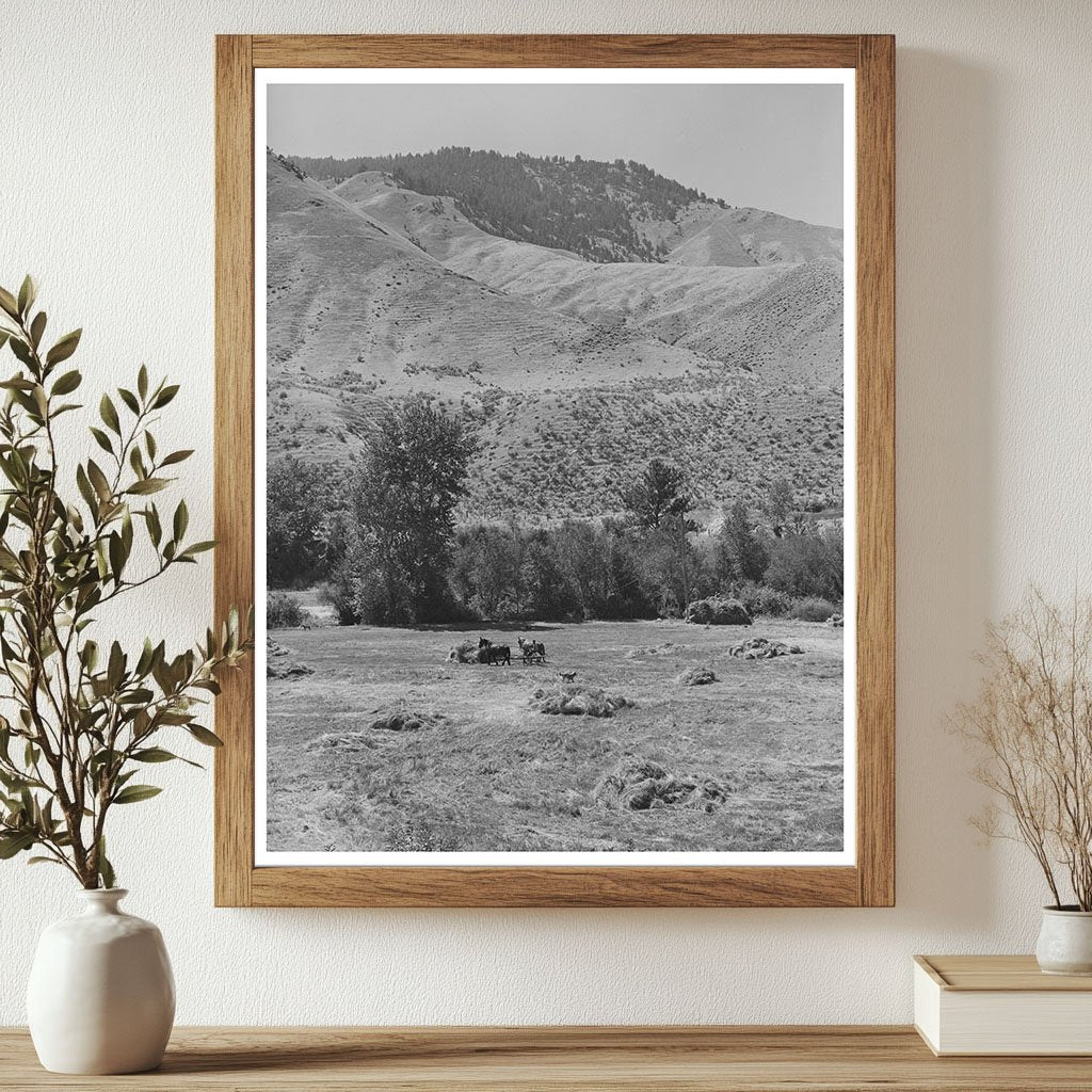 Haying Operation in Lemhi County Idaho August 1942