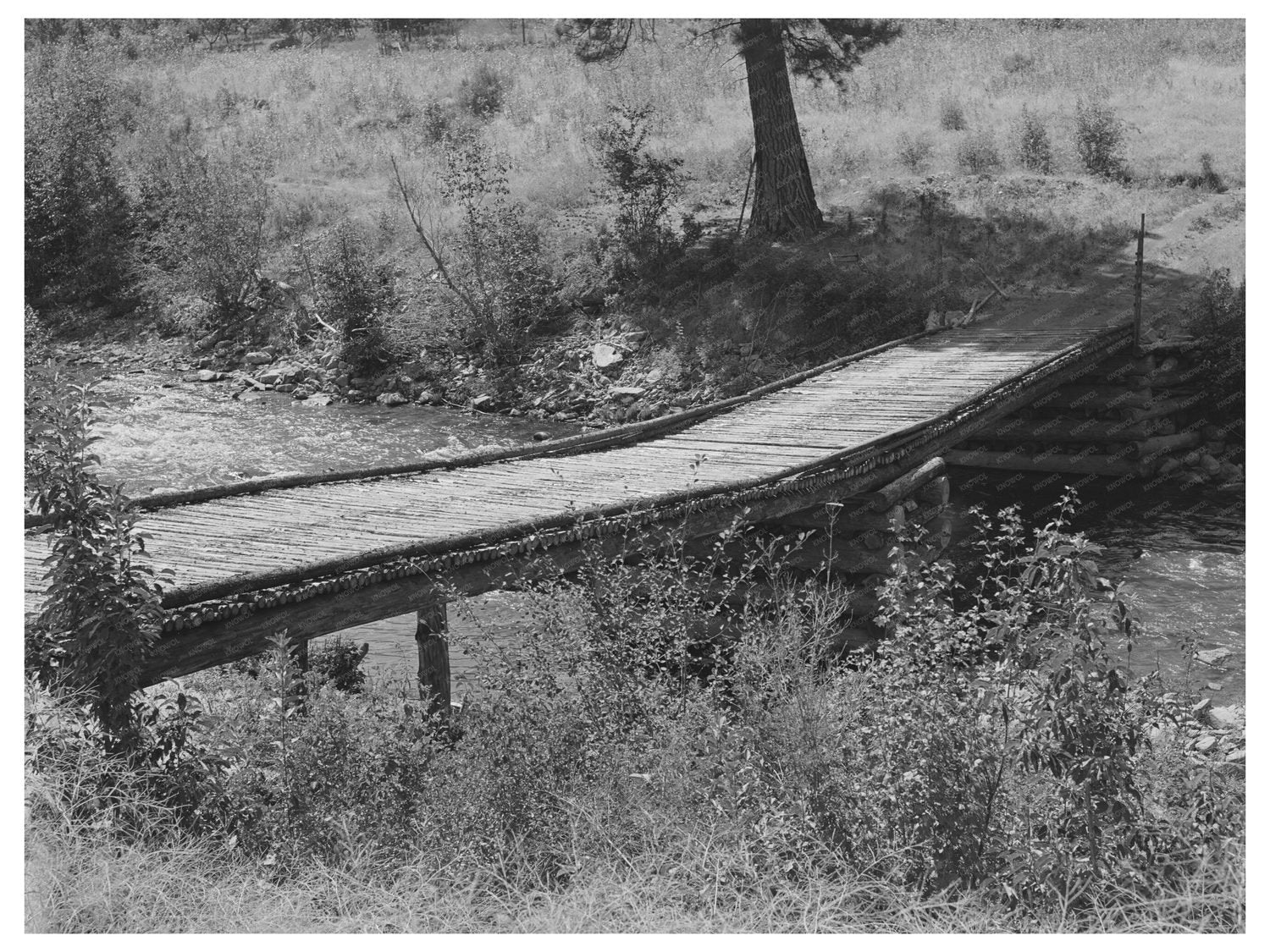 Footbridge over Panther Creek Lemhi County Idaho 1942