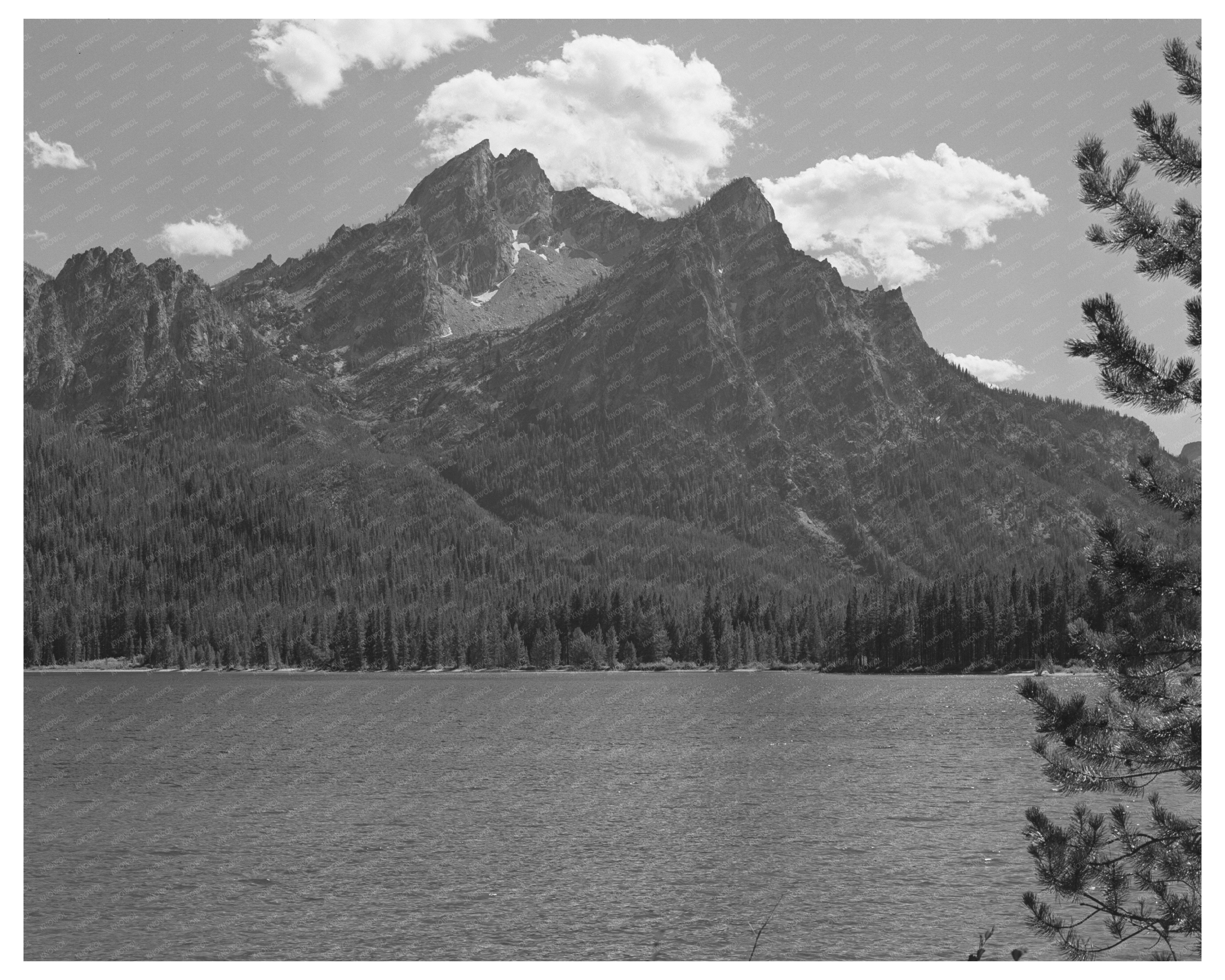 Stanley Lake Custer County Idaho August 1942 Photo