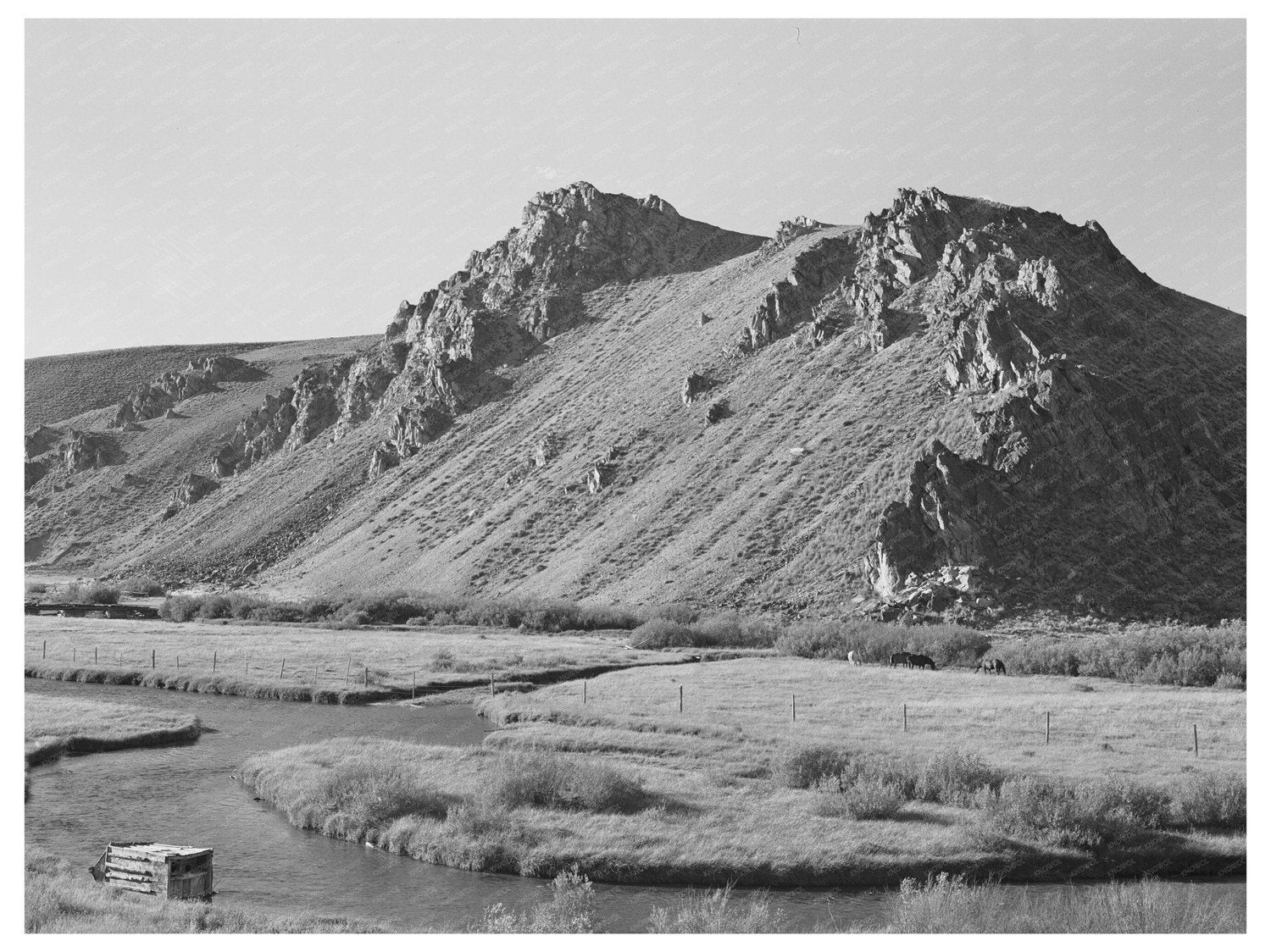 Stanley Idaho Creek Meadows August 1942 Photo