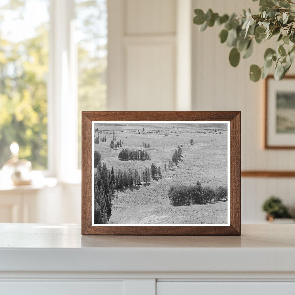 Blaine County Idaho Stream August 1942 Landscape Image