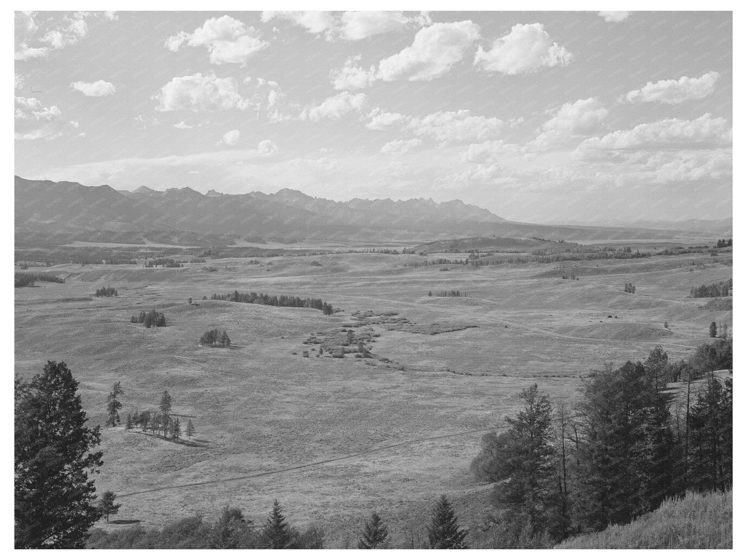 Blaine County Idaho Upper Salmon River August 1942 Image