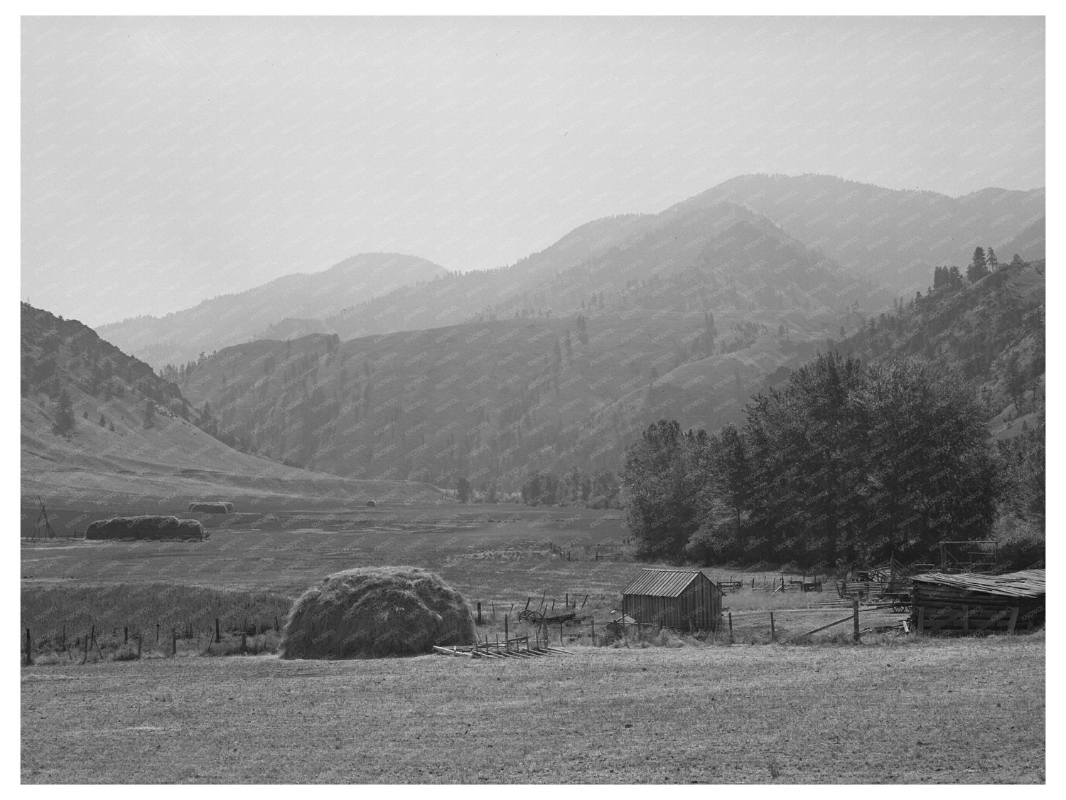 Ranch along Salmon River Valley Idaho August 1942
