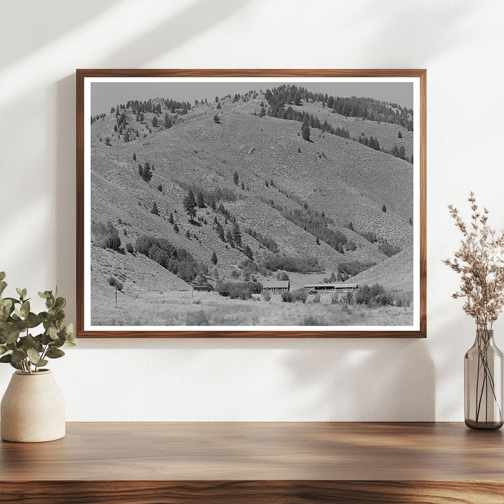 Custer County Idaho Cattle Ranch Vintage Photo 1942
