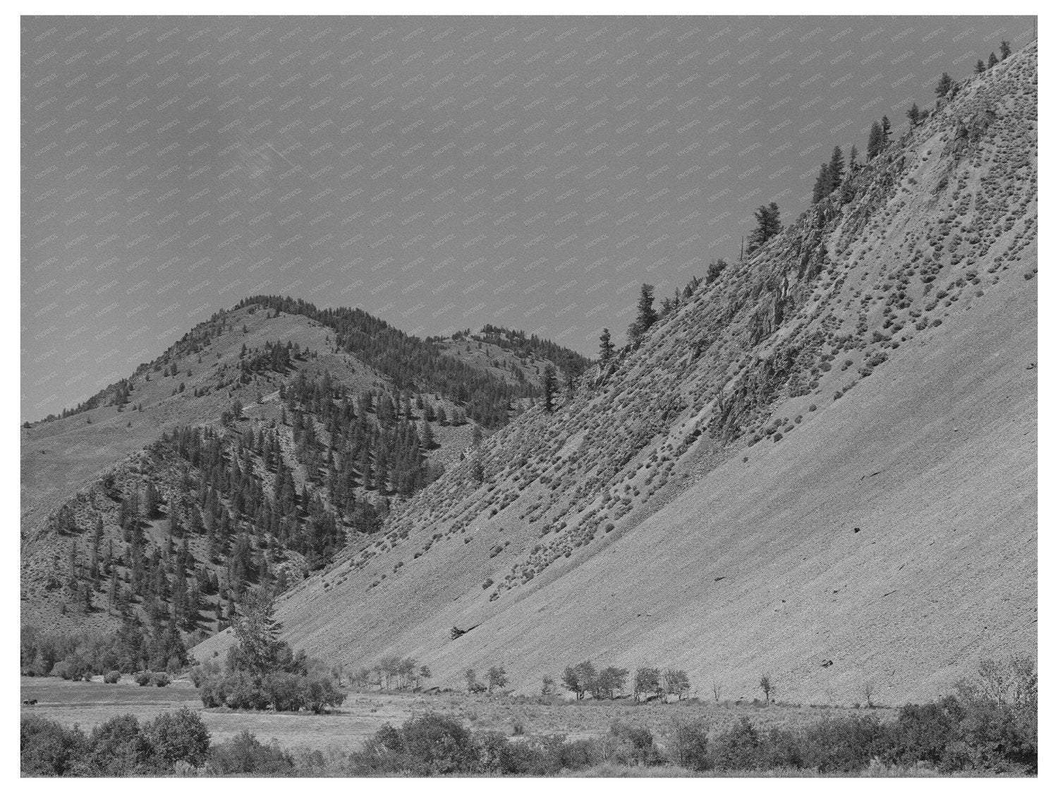 Salmon River Valley Scenic View Custer County Idaho 1942