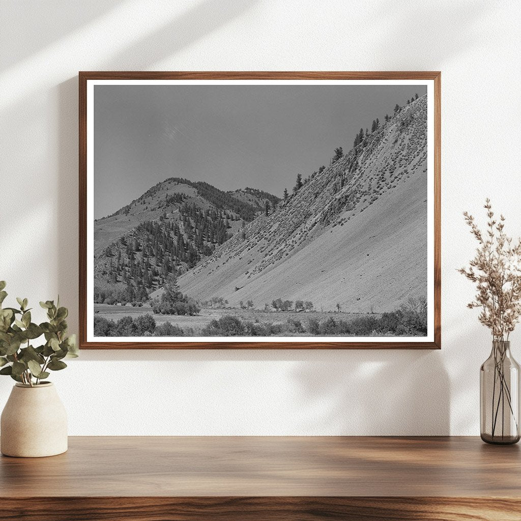 Salmon River Valley Scenic View Custer County Idaho 1942