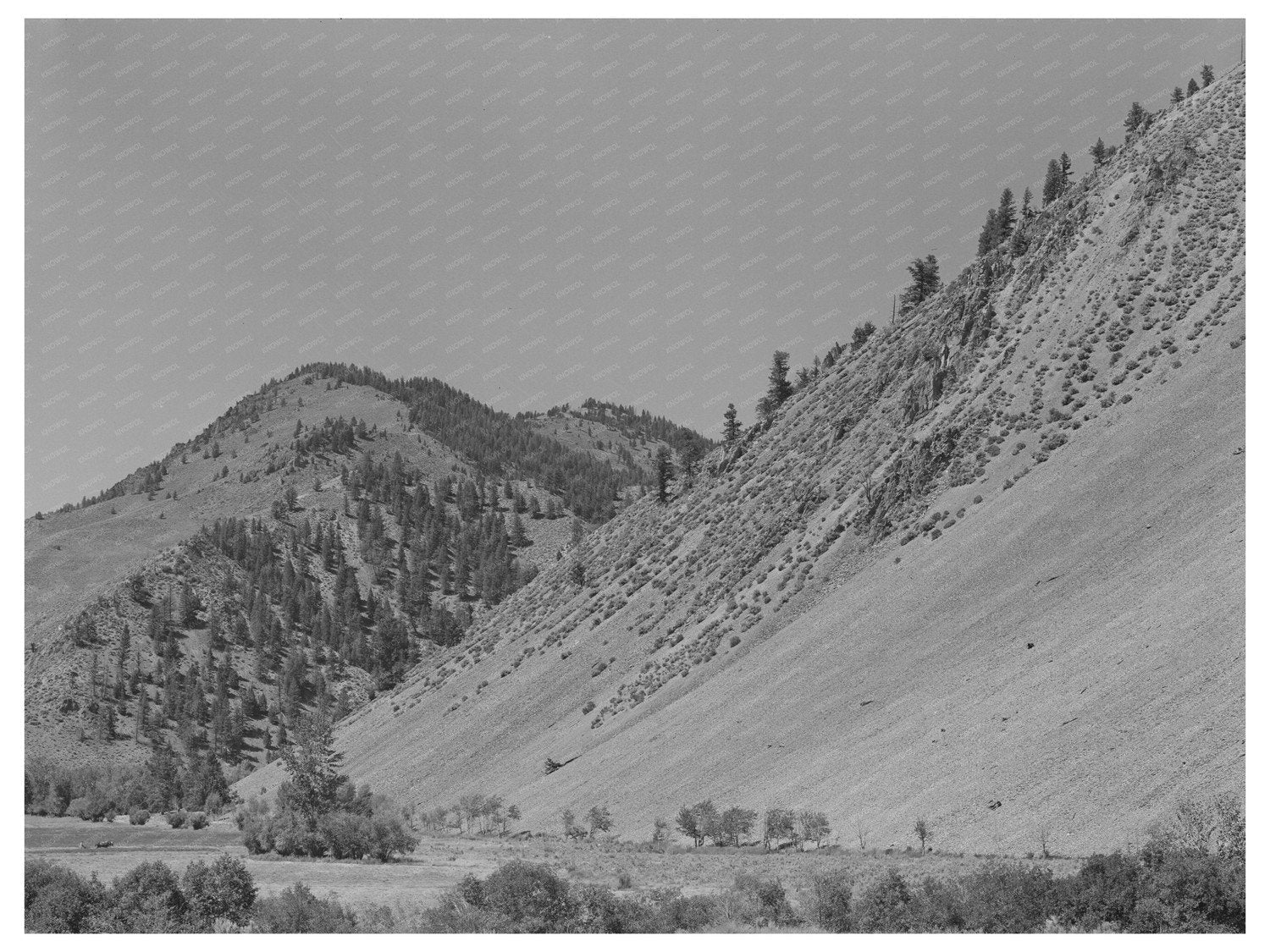 Custer County Idaho Valley Meadows August 1942