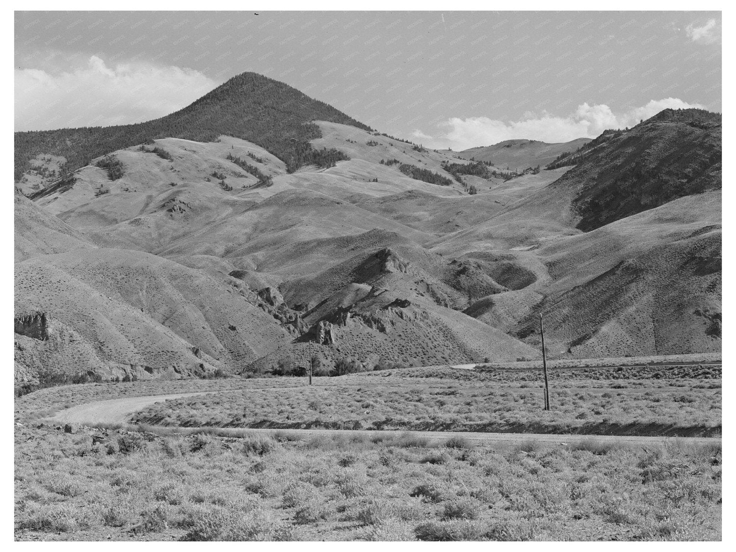 Custer County Idaho Range Land Salmon River Valley 1942