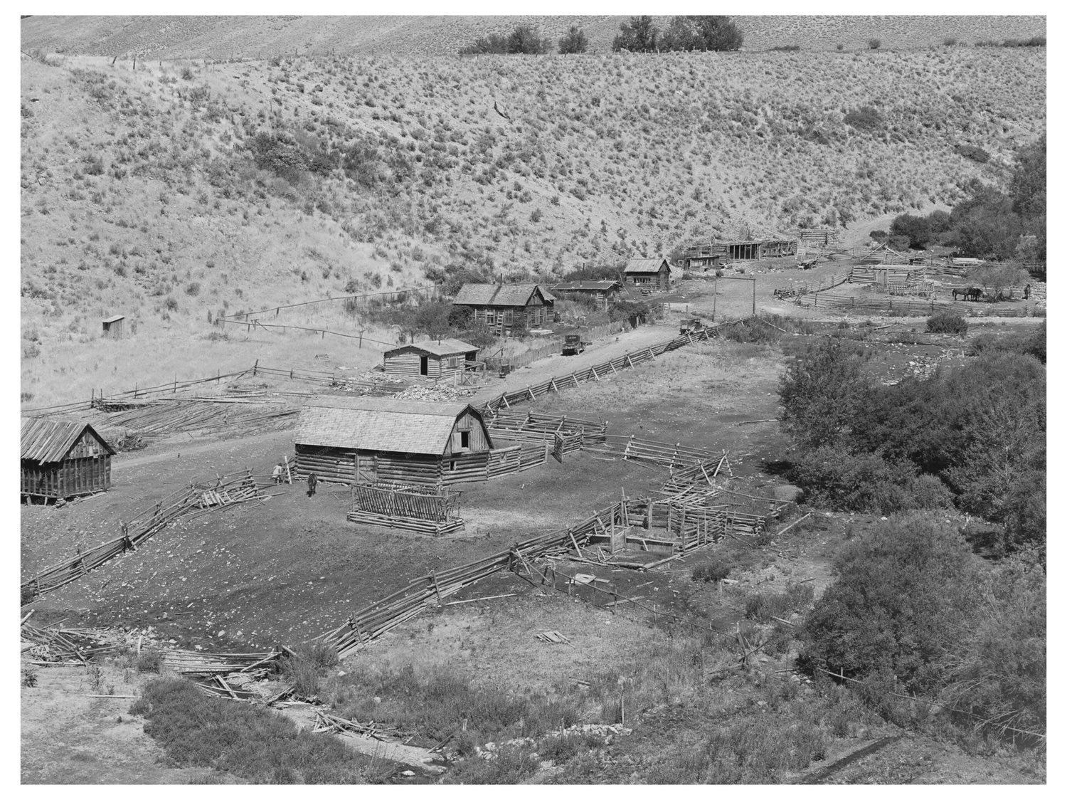 Cattle Ranch in Lemhi County Idaho August 1942