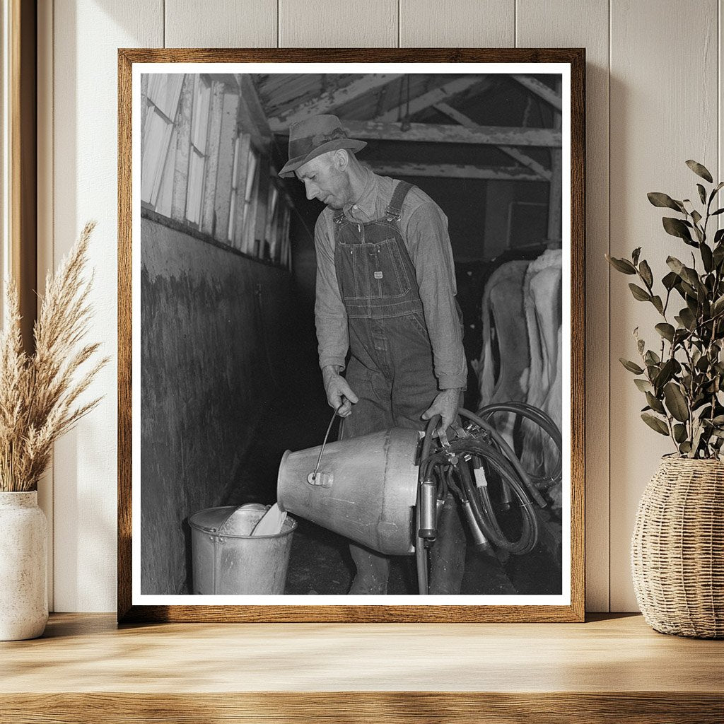 Man Working on Dairy Farm in San Leandro 1942