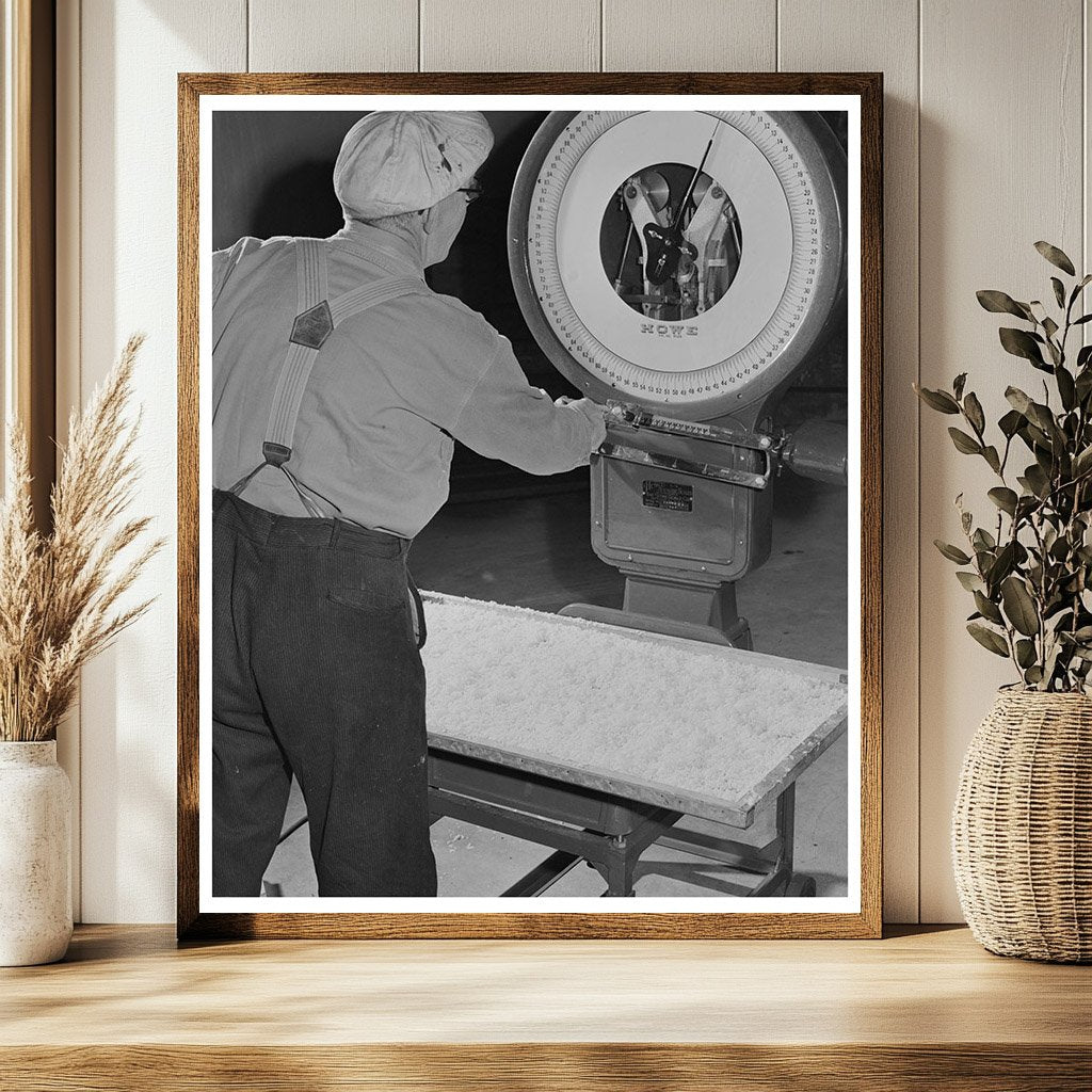 Technician Weighing Dehydrated Potatoes Albany 1942