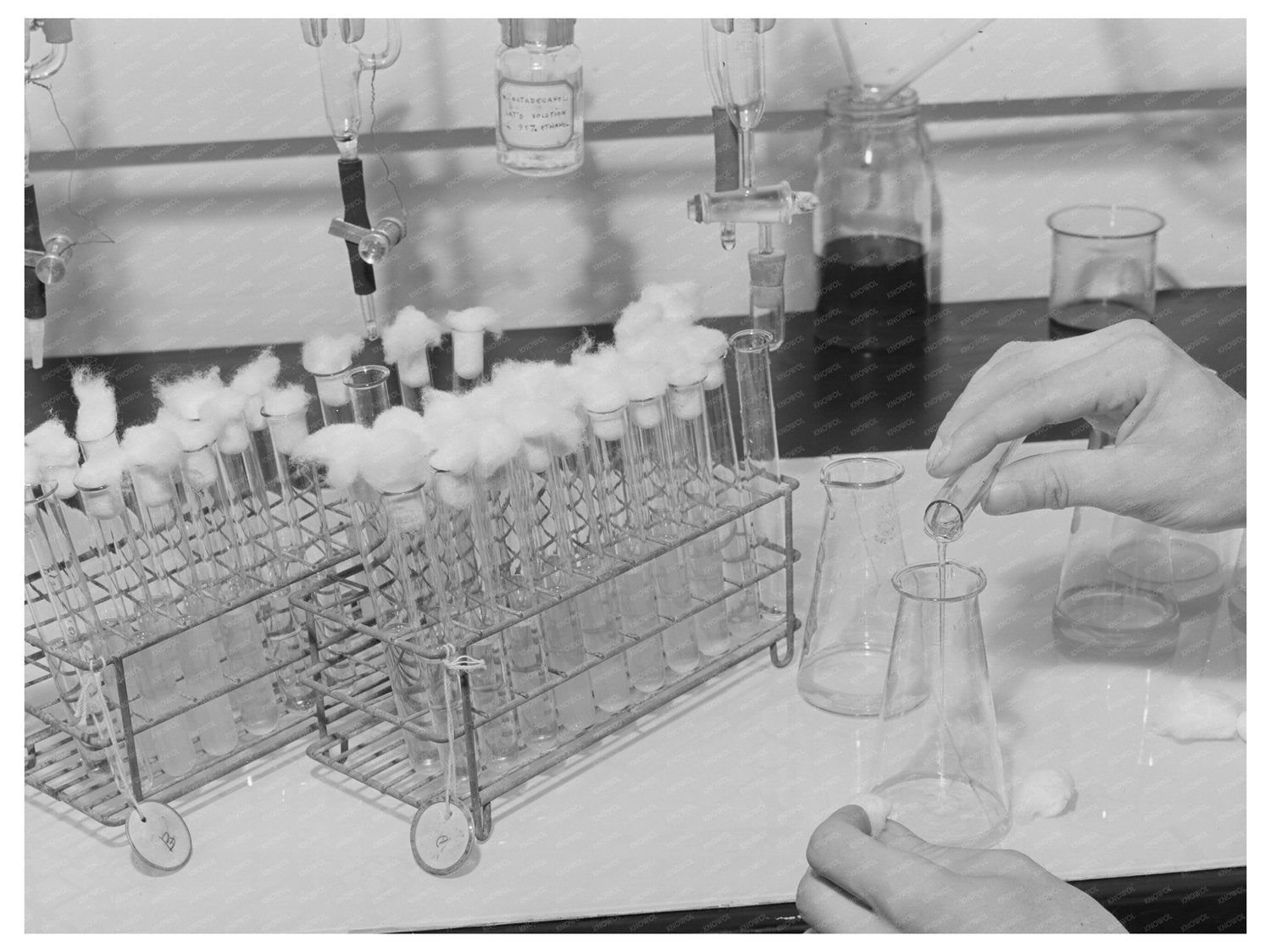 Microbiological Titration of Vitamins 1942 Albany California