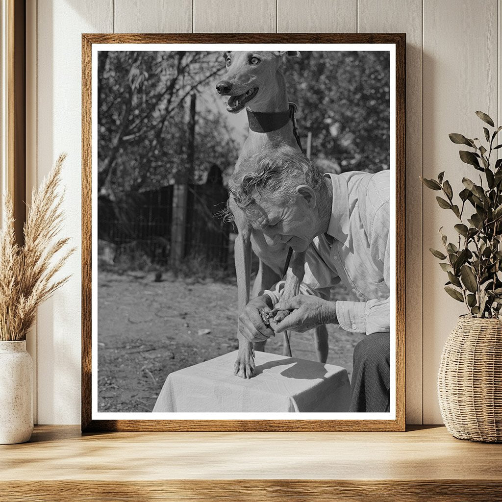 John D. Eddy with Petaluma Gold Greyhound 1942