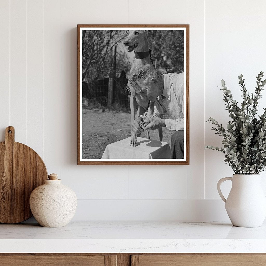 John D. Eddy with Petaluma Gold Greyhound 1942