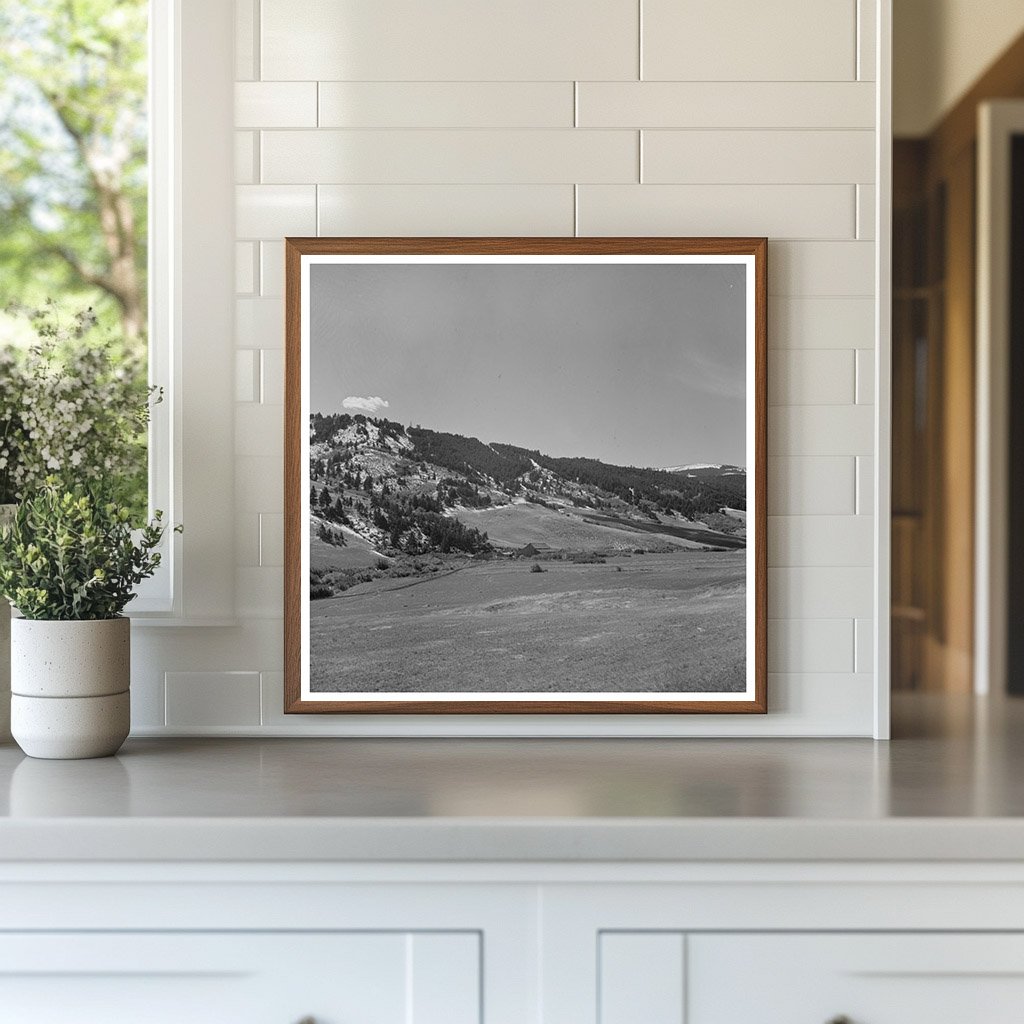 Cattle Ranch Scene Park County Montana September 1942