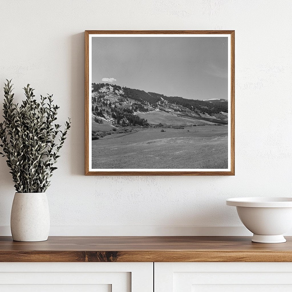 Cattle Ranch Scene Park County Montana September 1942