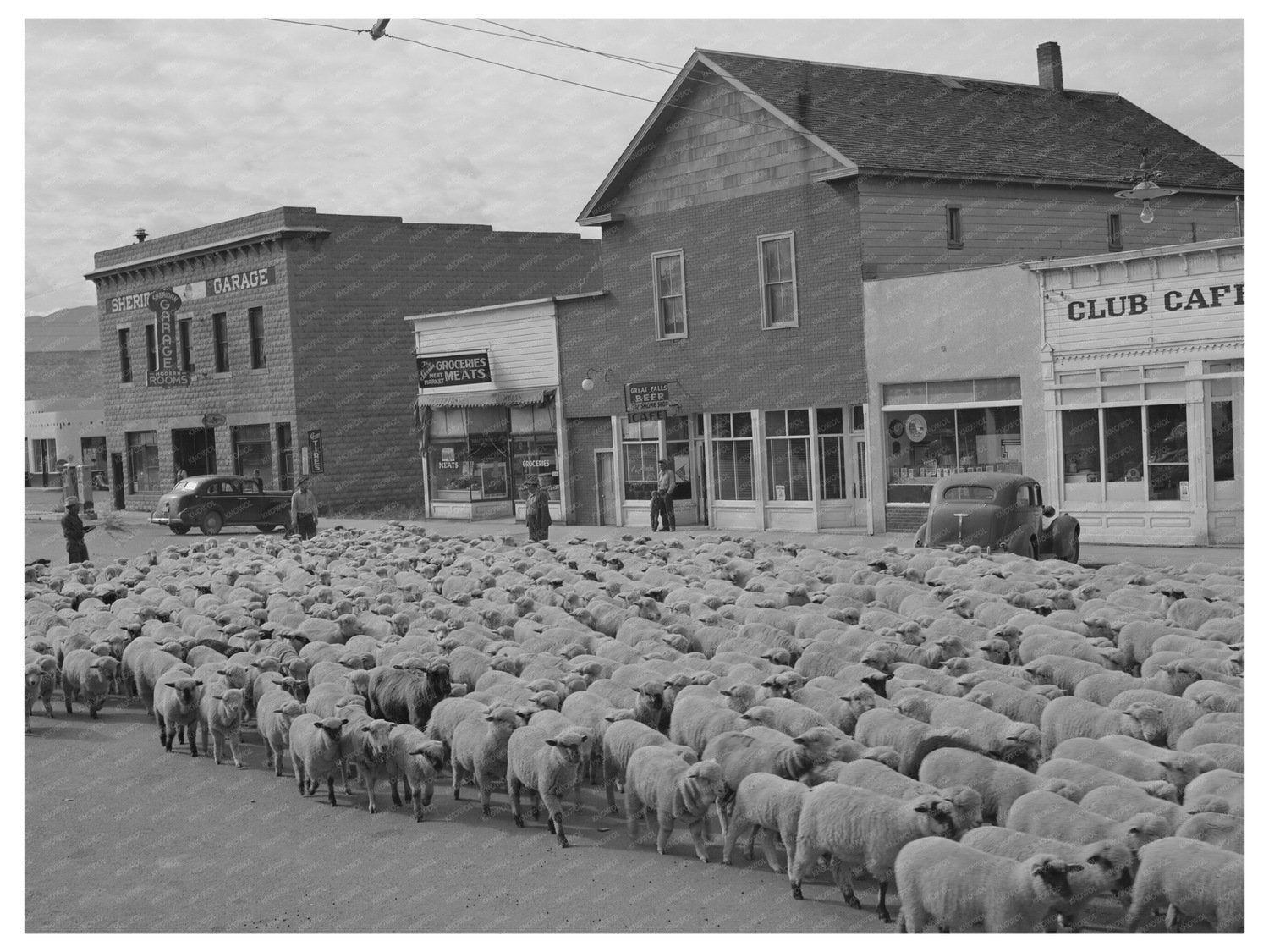 Sheep Driven Down Main Street Sheridan Montana 1942