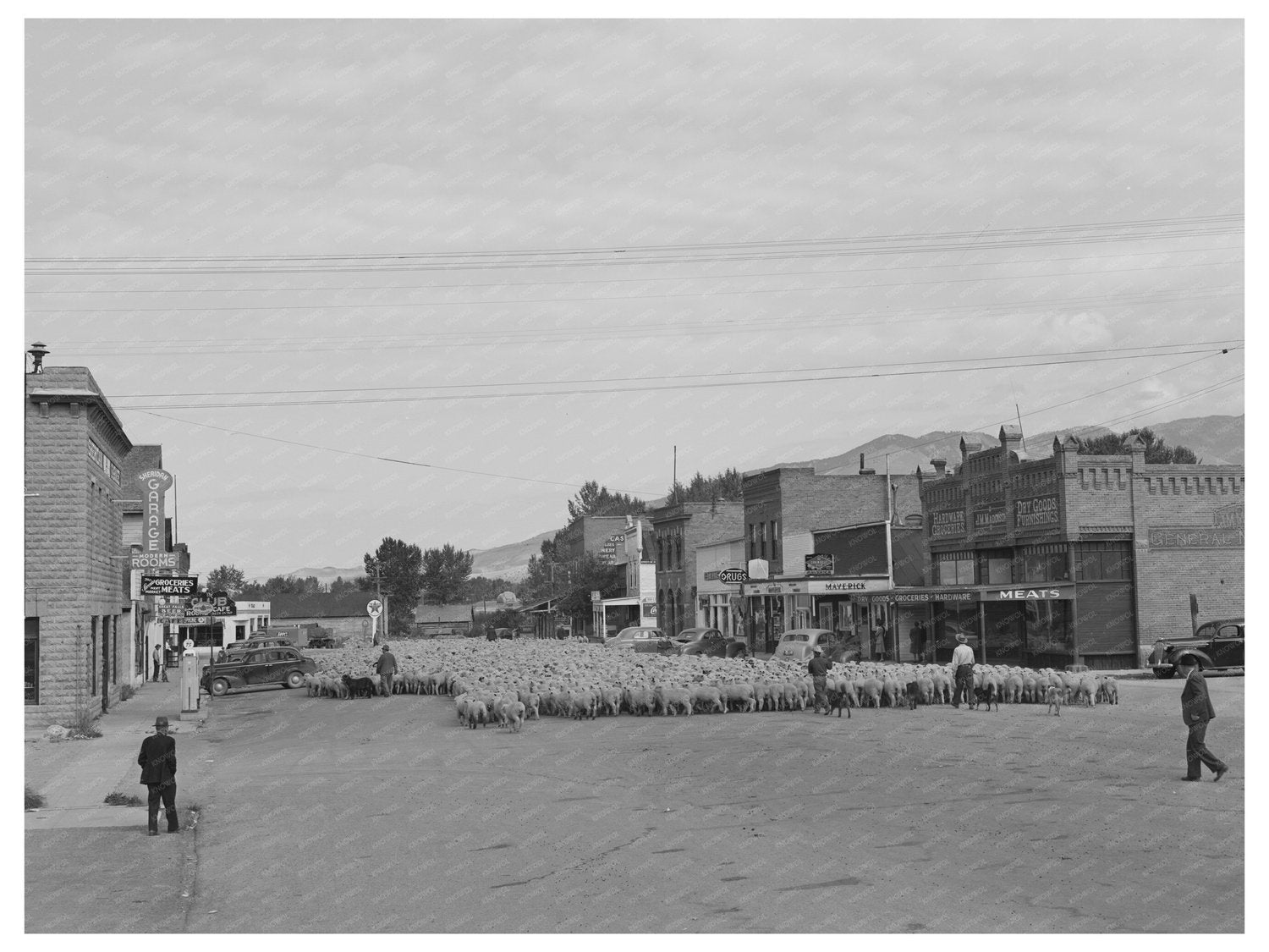 Sheep Farming Scene in Madison County 1942