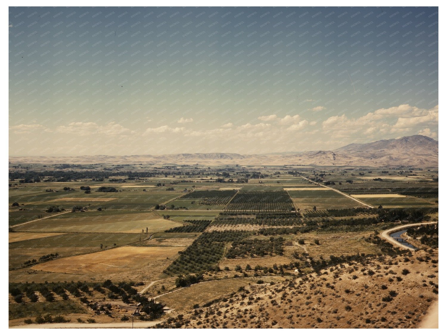 Vintage Cherry Orchards and Farm Lands in Idaho 1941
