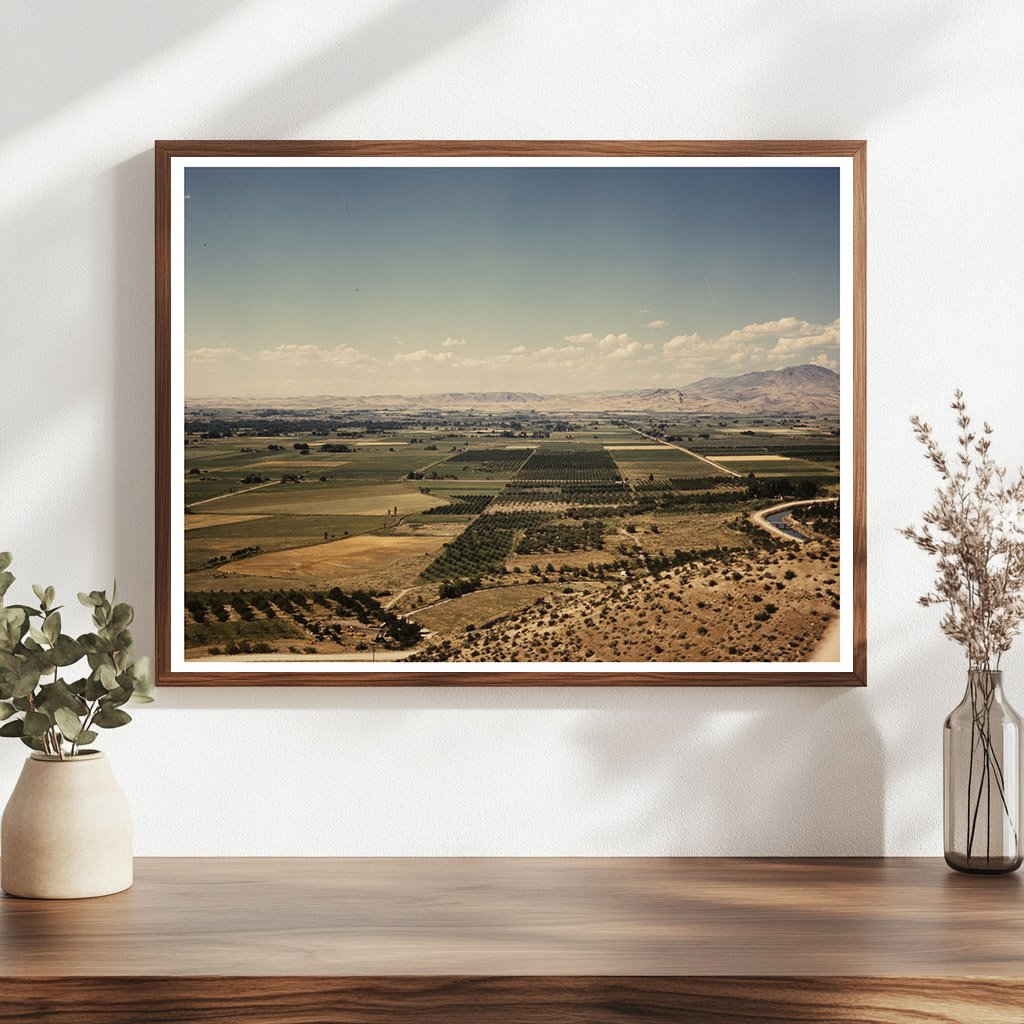 Vintage Cherry Orchards and Farm Lands in Idaho 1941