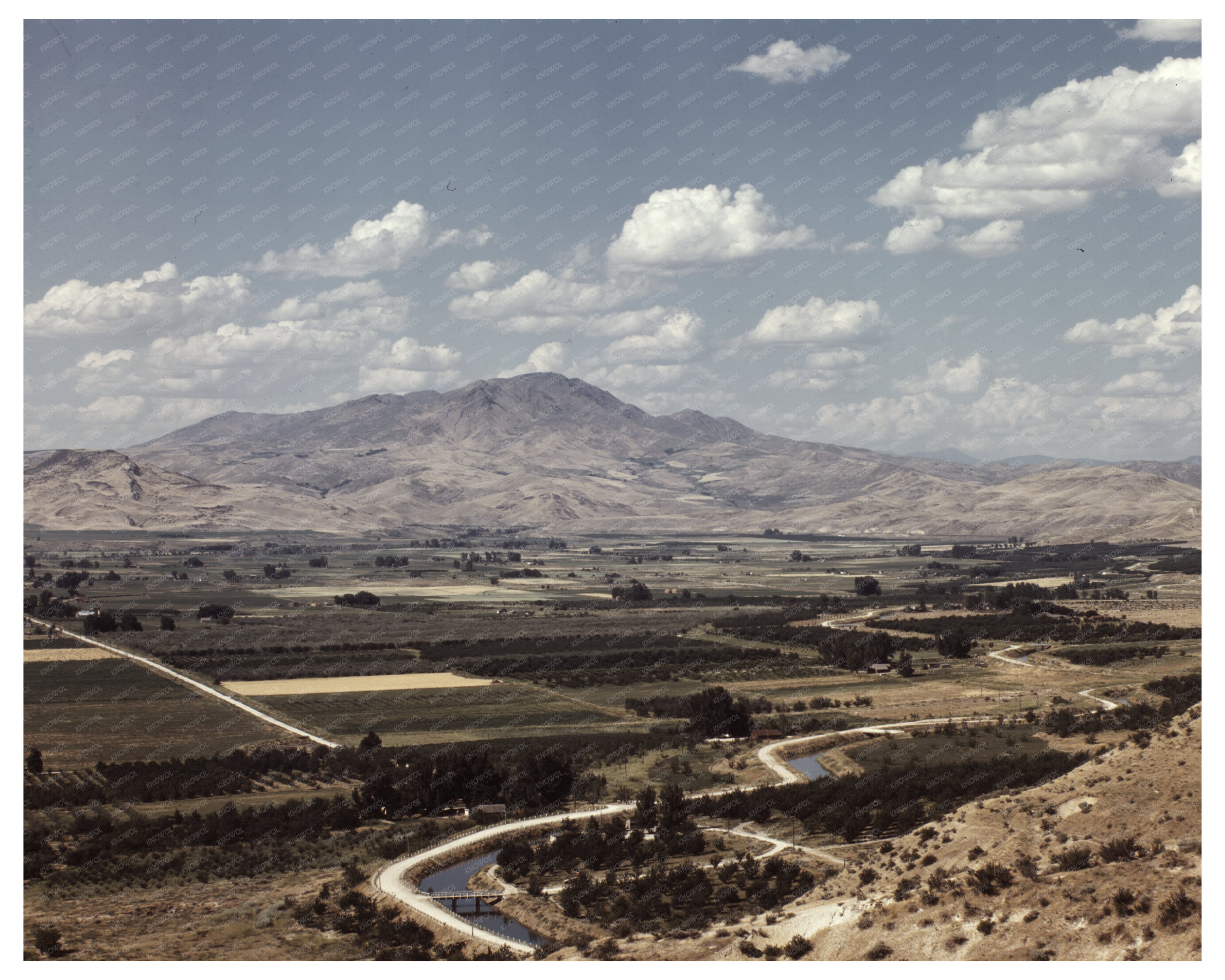1941 Color Photograph of Cherry Orchards in Emmett Idaho