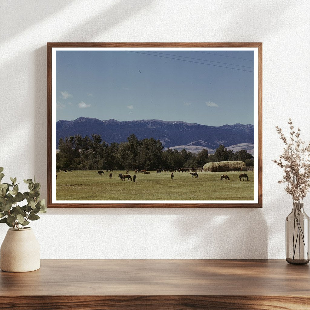 Horse Breeding Ranch in Grant County Oregon July 1942