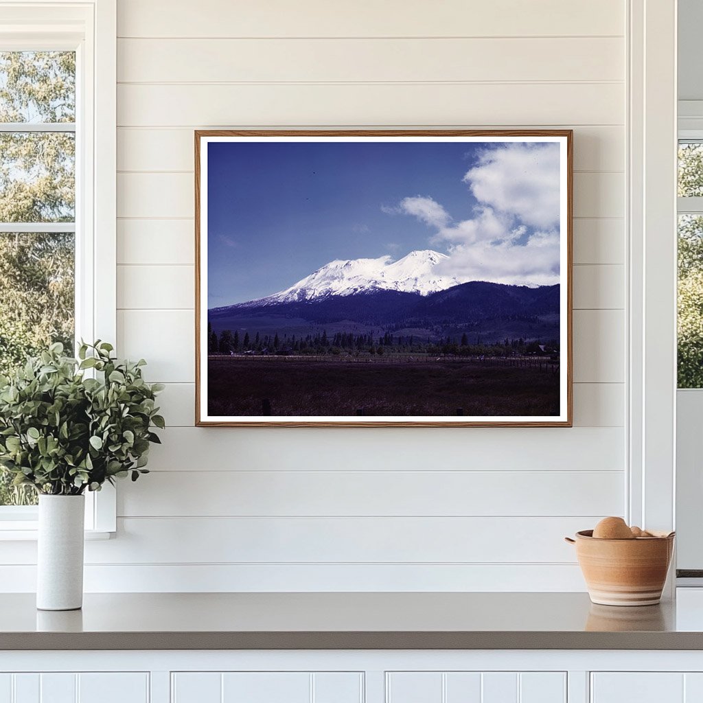 Mount Shasta California June 1942 View with Natural Scenery