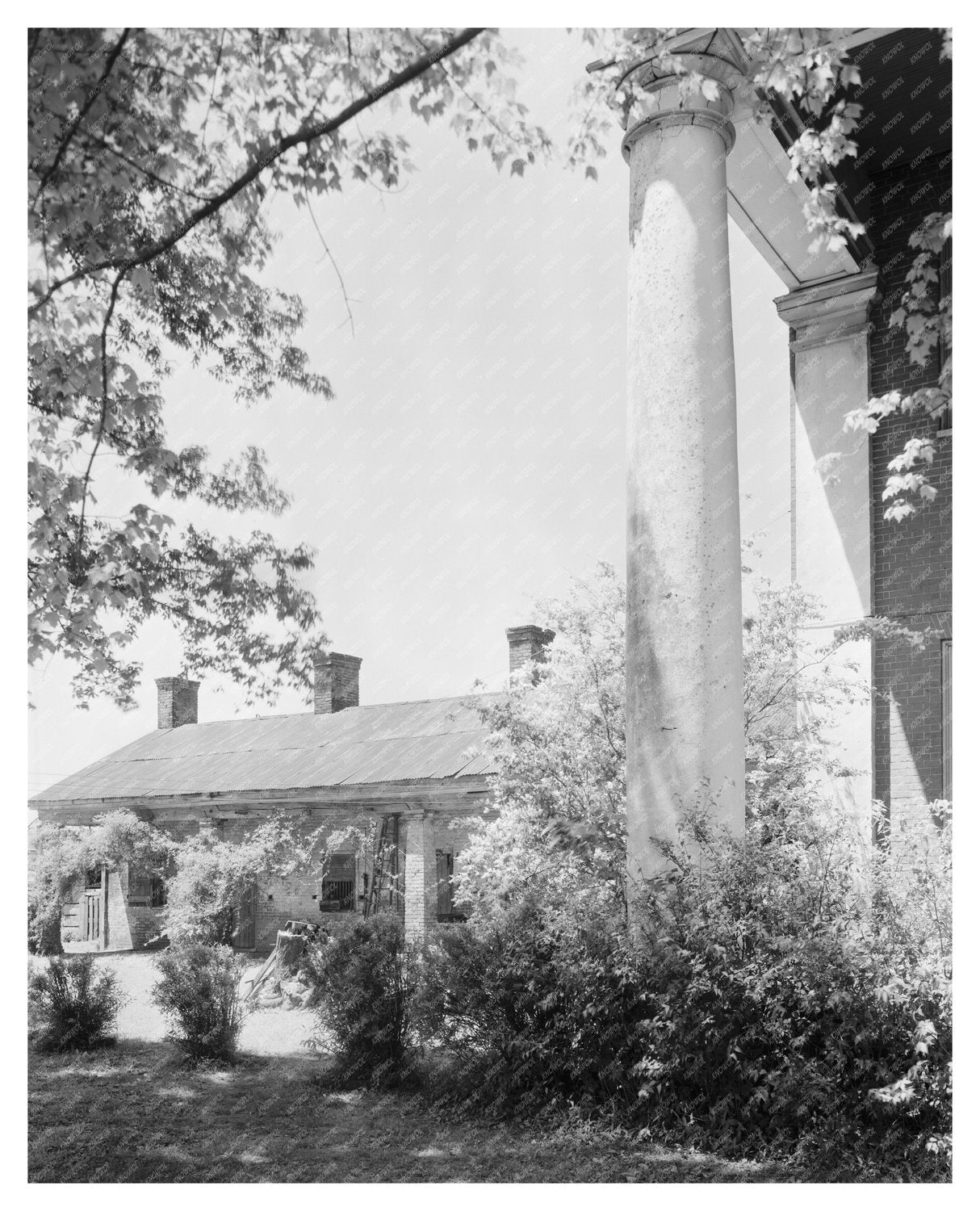 Bella Mina Residence, Limestone County, AL 1826 History