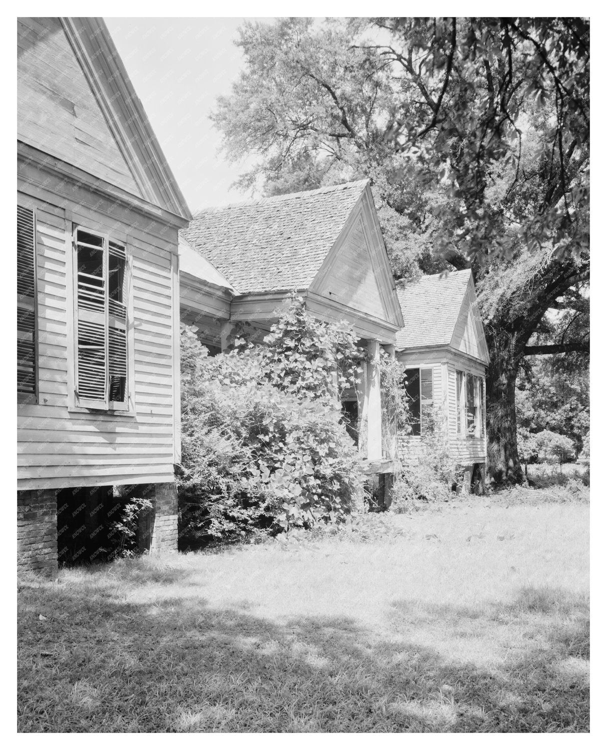 Greensboro AL House Photo from Carnegie Survey 1930s
