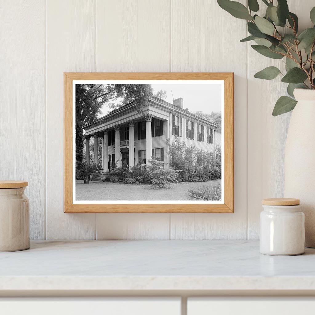 Tuscaloosa, AL Vintage Architecture Photo, Mid-20th Century