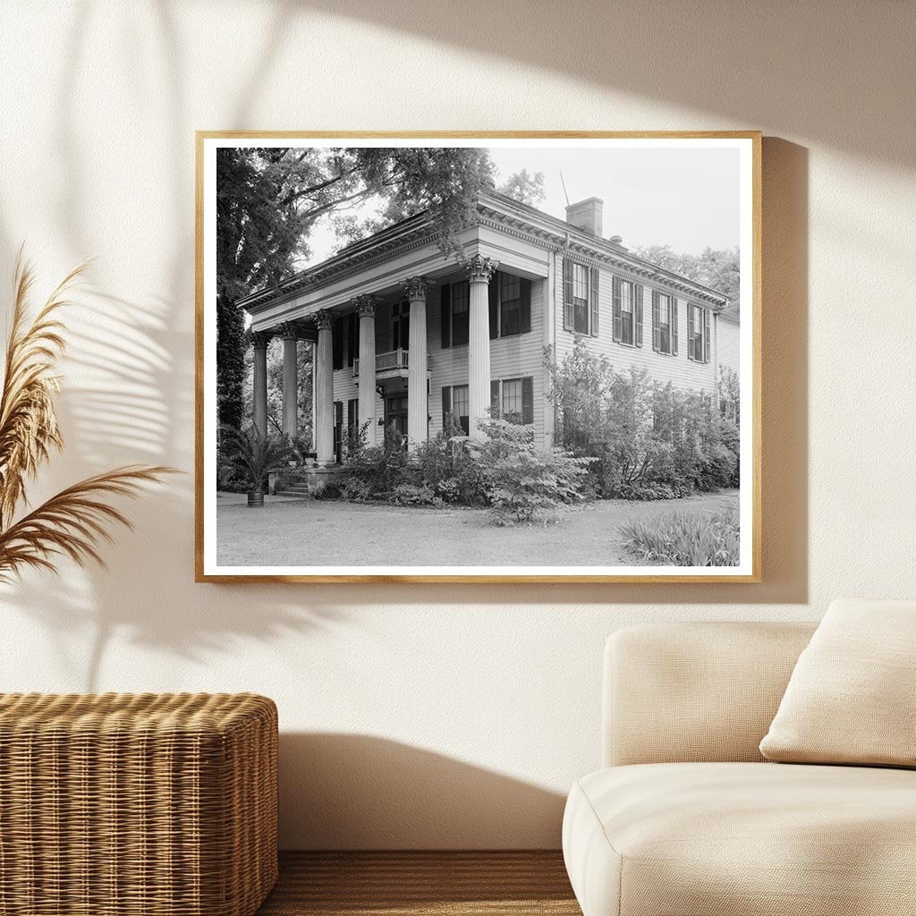 Tuscaloosa, AL Vintage Architecture Photo, Mid-20th Century
