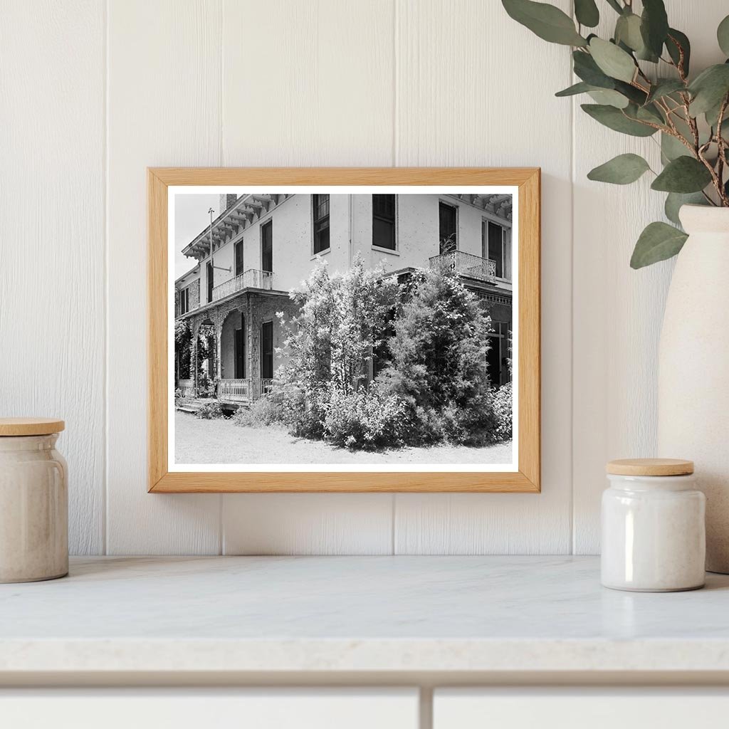 1850s Building Photographed in Selma, Alabama, 1953