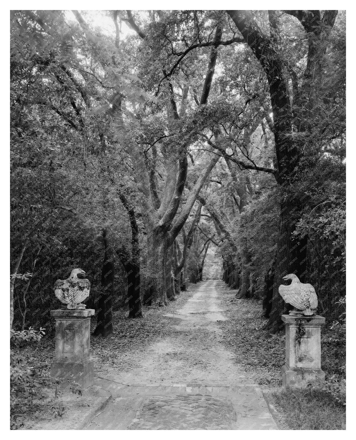 1840 Mobile County Alabama Historic Architecture Photo