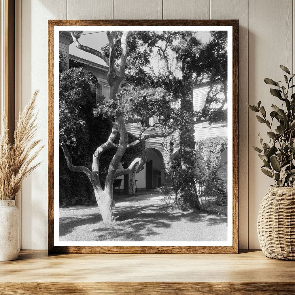 Old Spanish Treasury, St. Augustine, FL, 2023 History Image