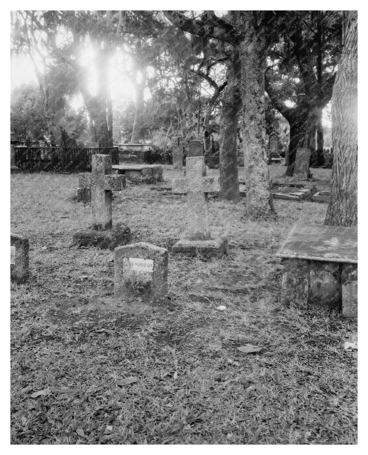 St. Augustine Cemeteries, Florida, 1953 Historic Photo