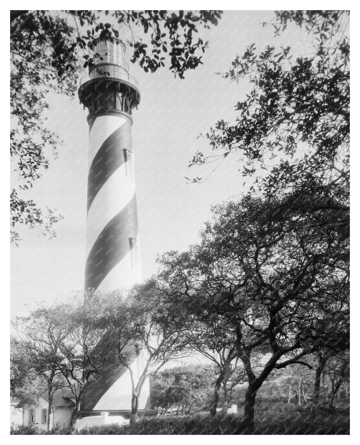 St. Augustine Lighthouse Photo, Florida 1953