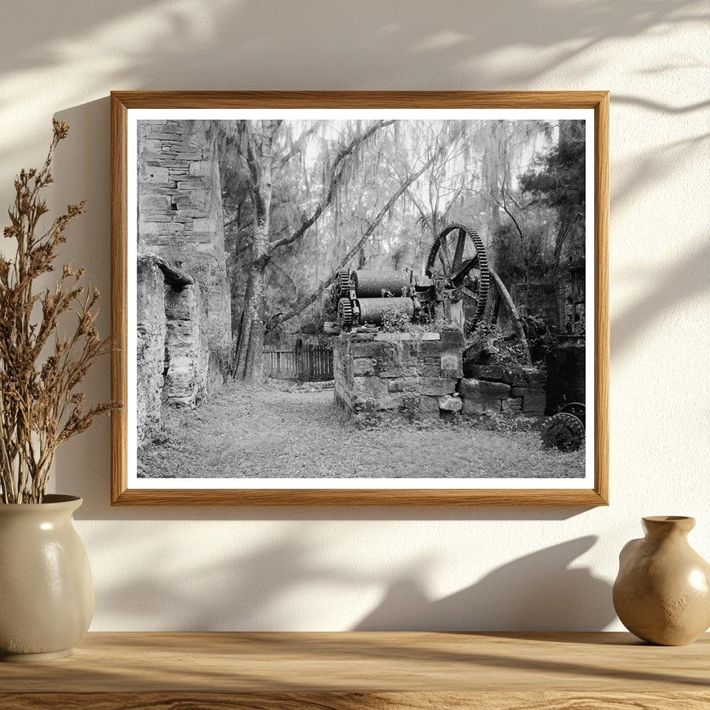 Vintage Sugar Industry Photo, New Smyrna, FL, 1900s