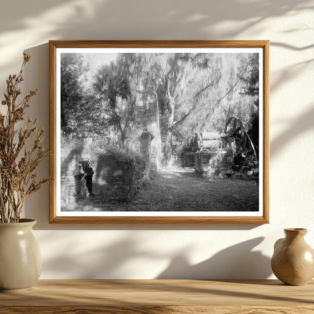 New Smyrna Sugar Industry Ruins, Florida, 20th Century