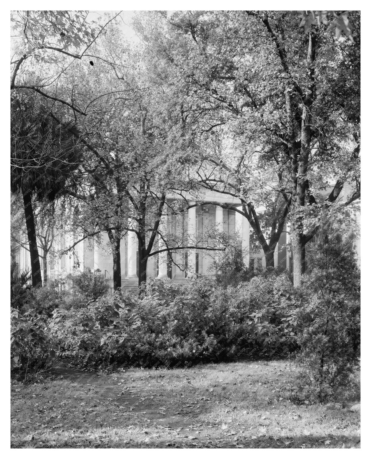Colonial Park Cemetery, Savannah GA, Early 19th Century
