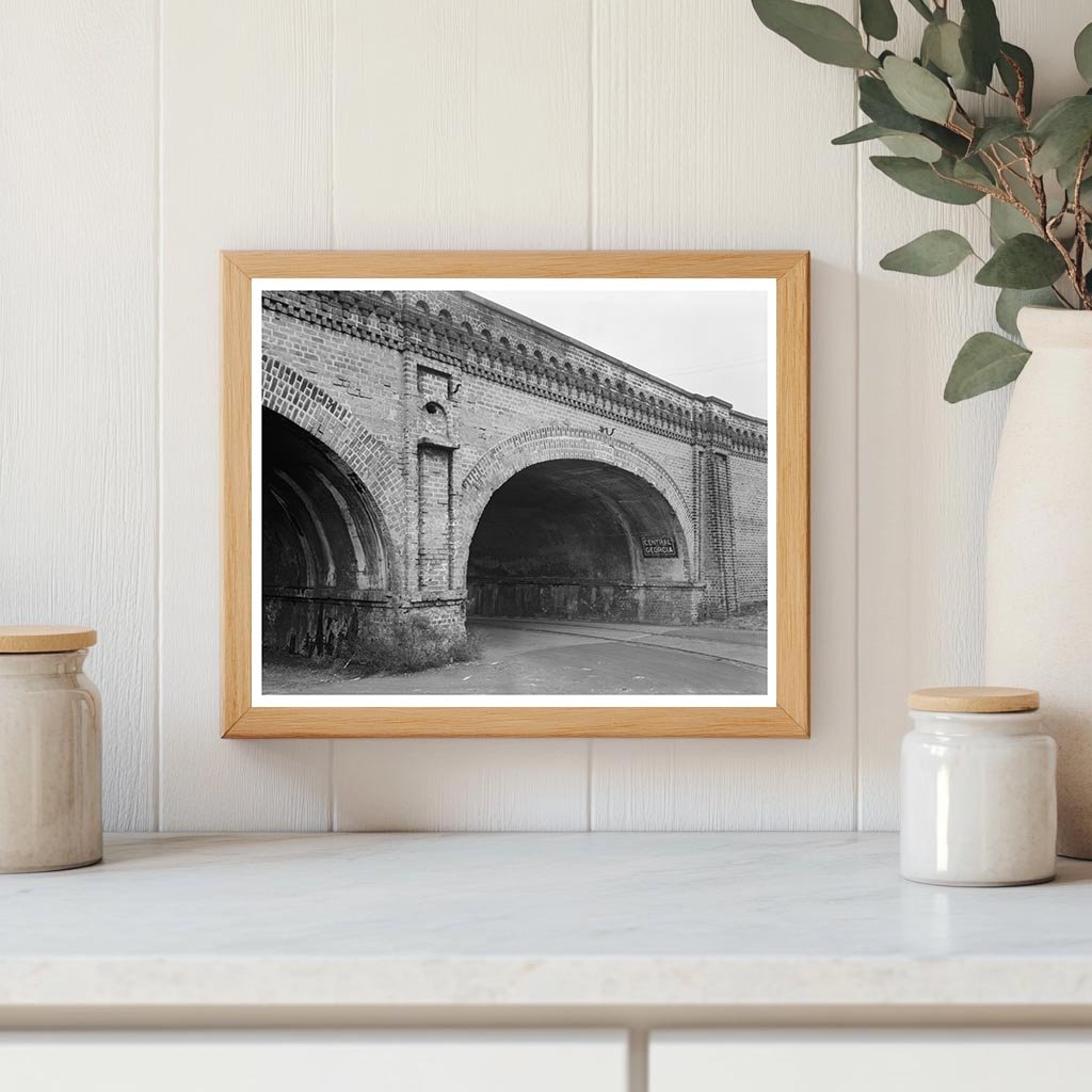 Savannah, GA Railroad Bridge Photo, 1848-1858