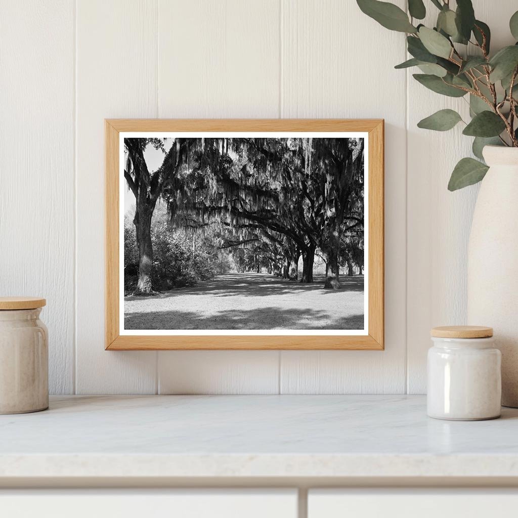 Henry Ford Estate, Savannah GA, Early 1900s Photo