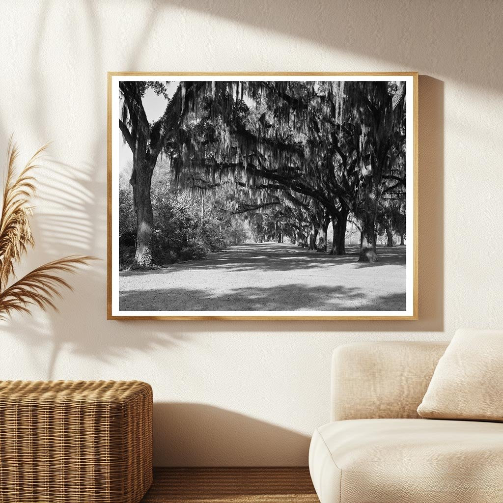 Henry Ford Estate, Savannah GA, Early 1900s Photo
