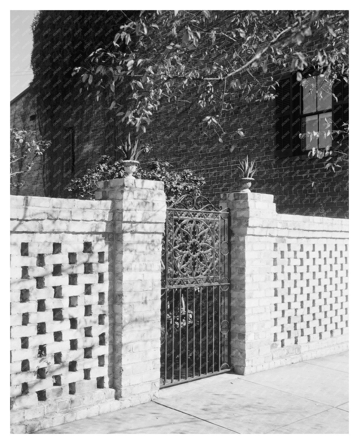 Savannah GA Historic Building Photo 1850