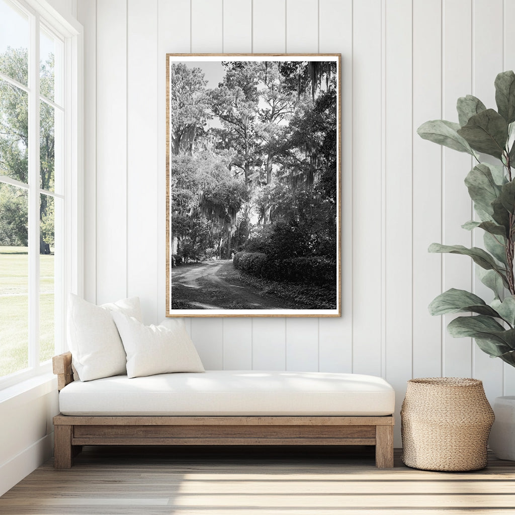Wormsloe Plantation, Savannah, GA - Historic 1939 Photograph