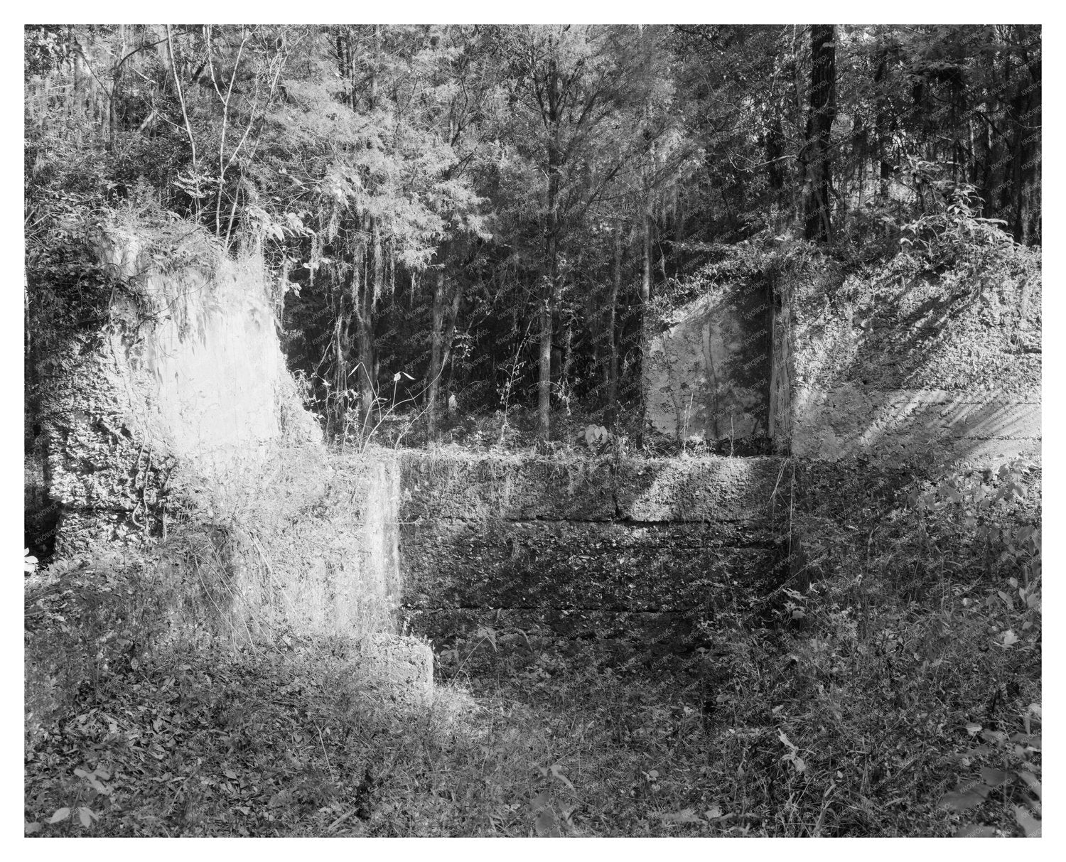 Fort Wimberly, Savannah GA, 1740-1750 History Photo